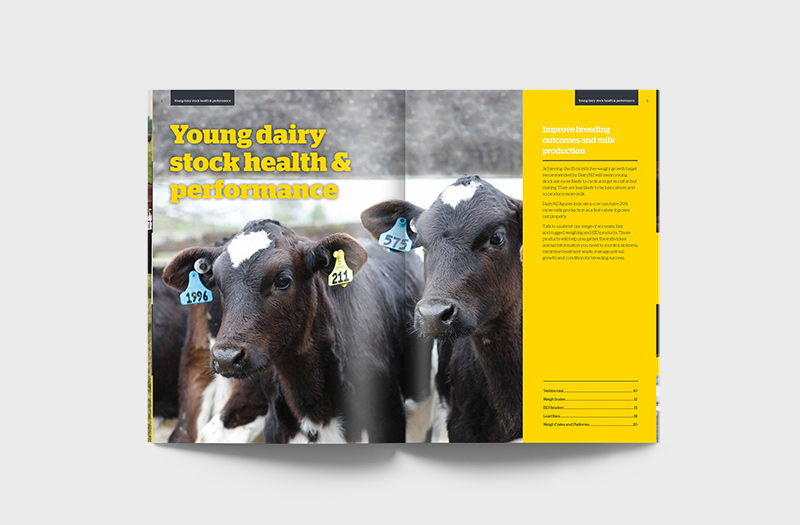 dairy solutions brochure - spread