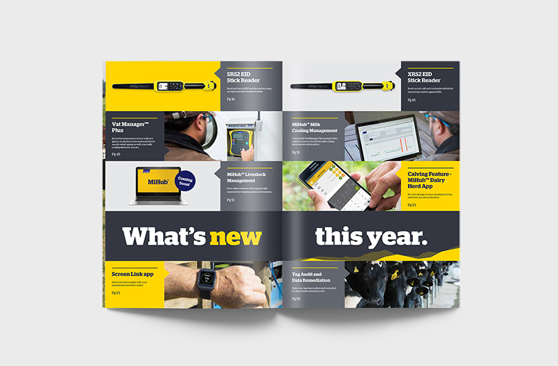 dairy solutions brochure - spread