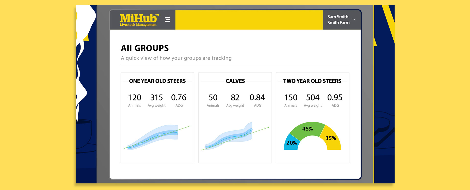 weight_based_decisions_02