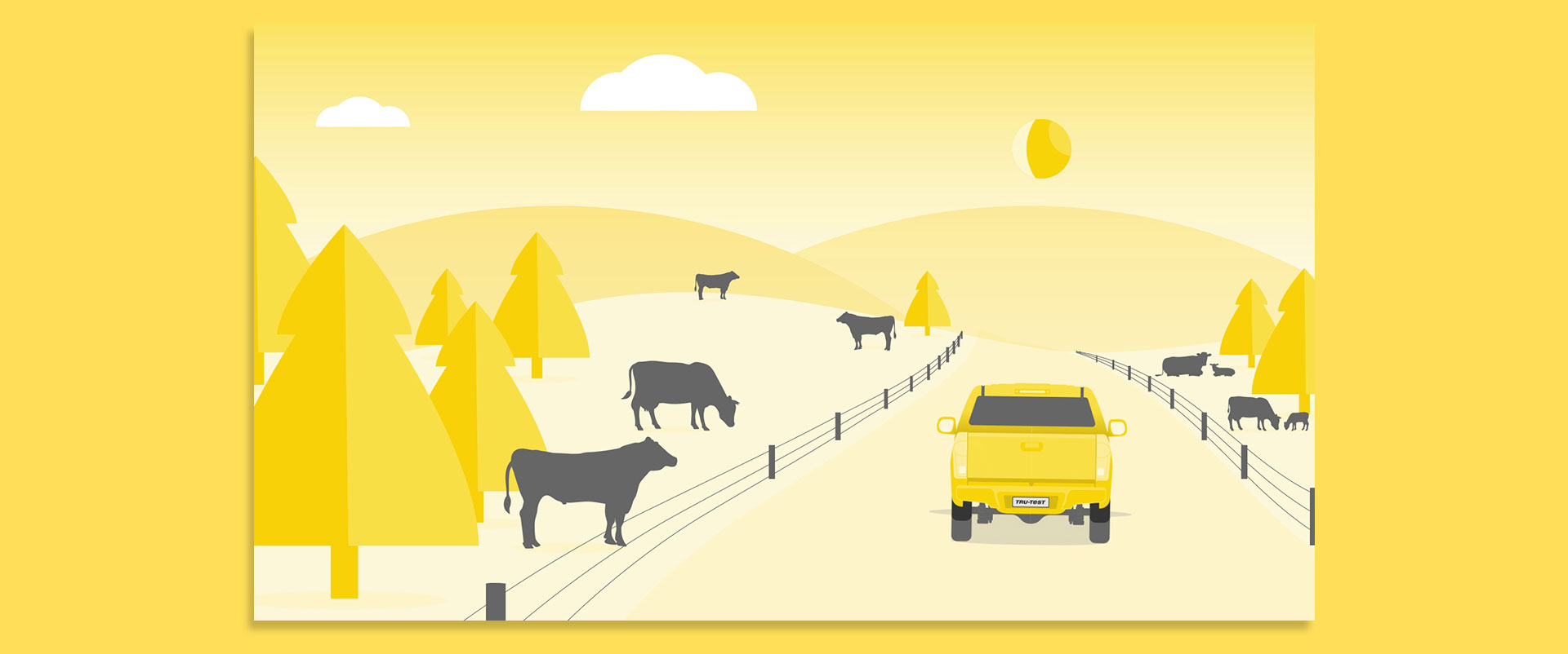 weight_based_decisions_03